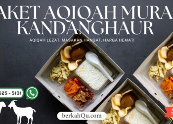 Paket Akikah Murah Kandanghaur Indramayu