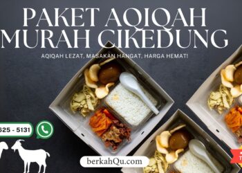 Paket Aqiqah Murah Cikedung – Praktis, Halal, dan Terpercaya!