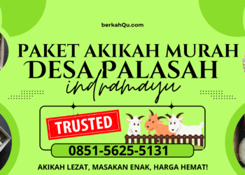 Paket Akikah Murah Desa Palasah Indramayu: Solusi Praktis dan Terjangkau